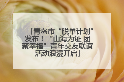 青岛市“脱单计划”发布！“山海为证 团聚幸福”青年交友联谊活动浪漫开启
